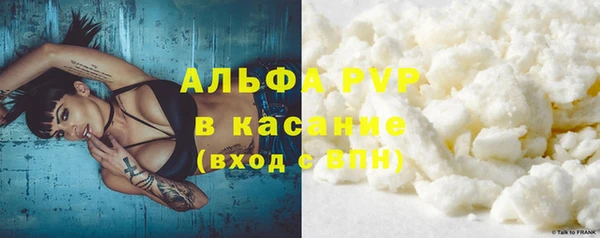 дживик Абаза