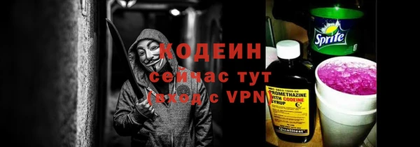 сатива Покачи