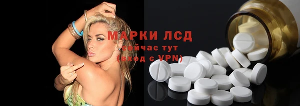 сатива Покачи