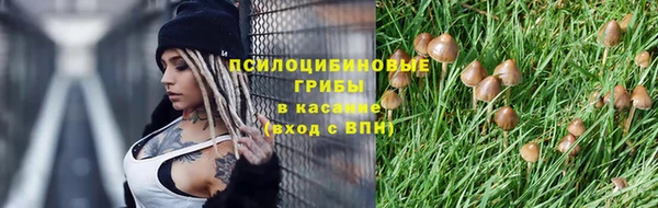 дживик Абаза