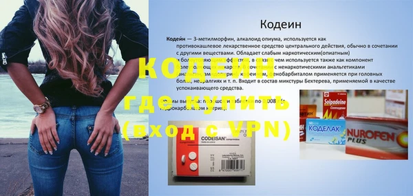 дживик Абаза