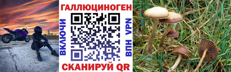 Галлюциногенные грибы GOLDEN TEACHER  Тында 